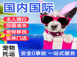屯溪机场快递国际宠物托运 【国